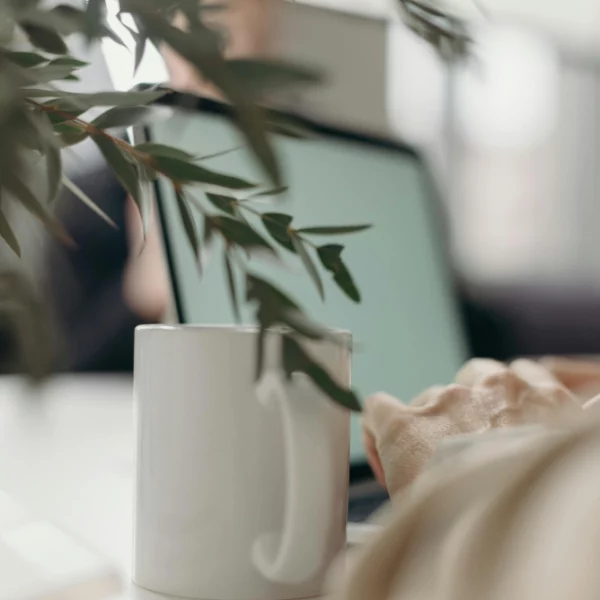 Naturopathe, Consultation Visio, Sante Naturelle, Toulouse, Valerienaturopathie.com